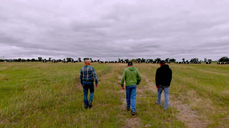 V1-0147_FWM_ND_SOY_BEAN_D3_DJI_BROLL_6